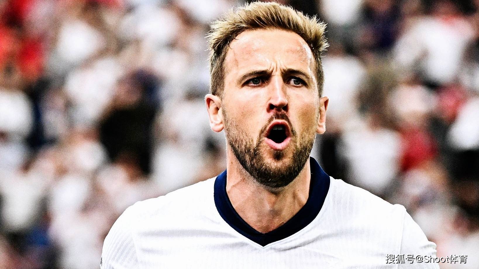 金沙娱乐入口-爱尔兰队前锋连续在友谊赛中建功,成为焦点(爱尔兰球队怎么样)